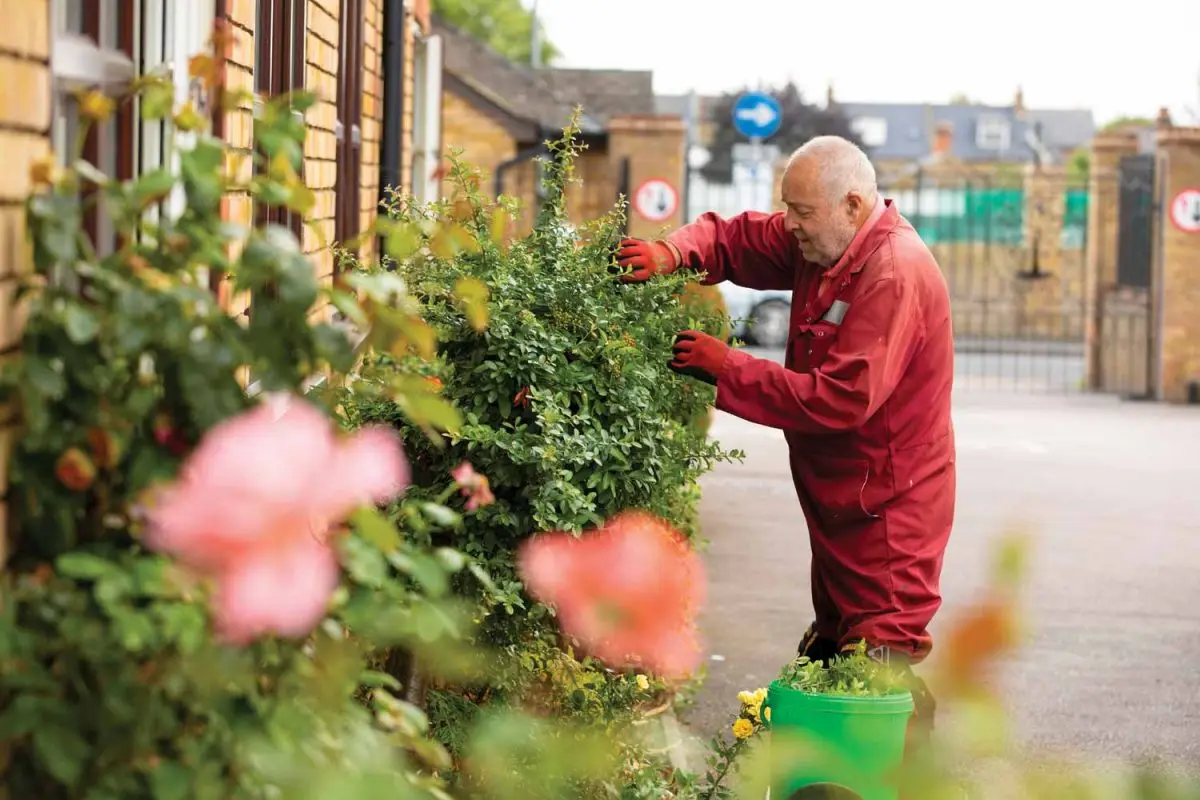 Gardener